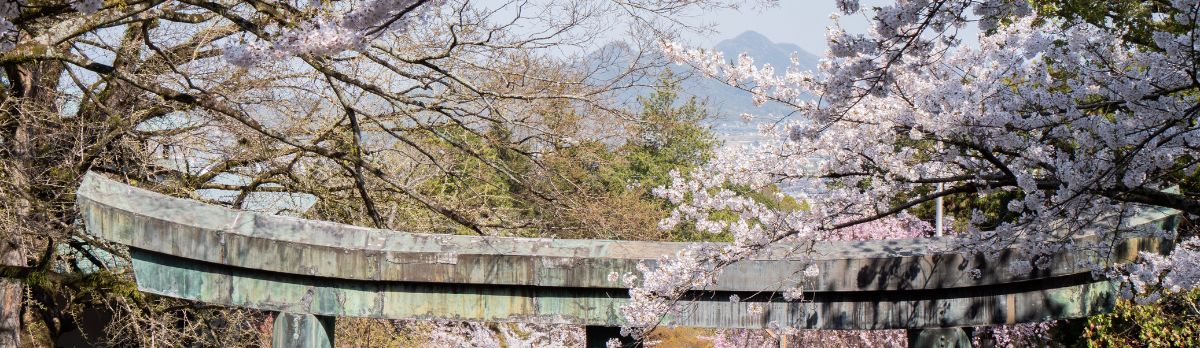 Pop-up Coliving au Japon : vivre un mois immersif à Kotohira