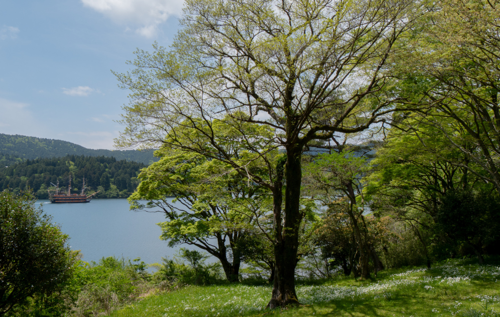 Pirate ship cruise on Lake Ashi – included in the Hakone Free Pass