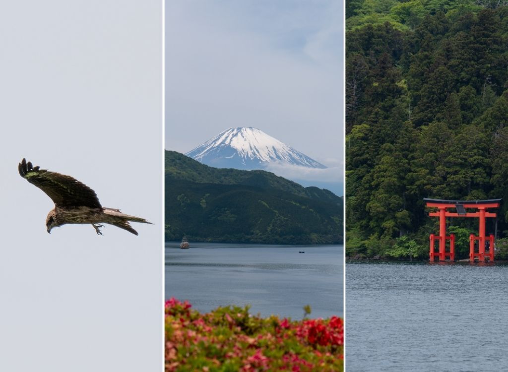 Best-panoramas over Fuji