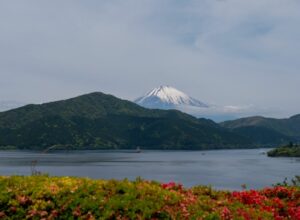 Fuji from Onshi park Hakone