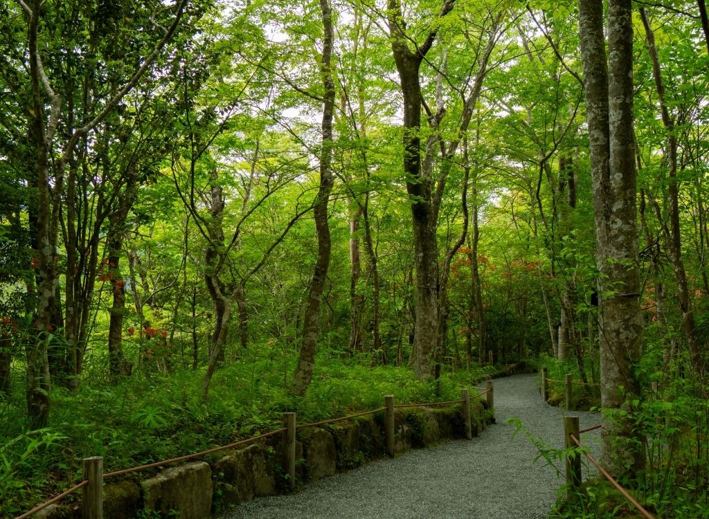 Horaien Garden Hakone