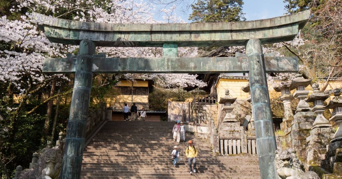 Kotohira, a pop-up coliving