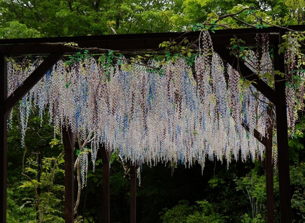 Visit of Hakone Venetian glass museum