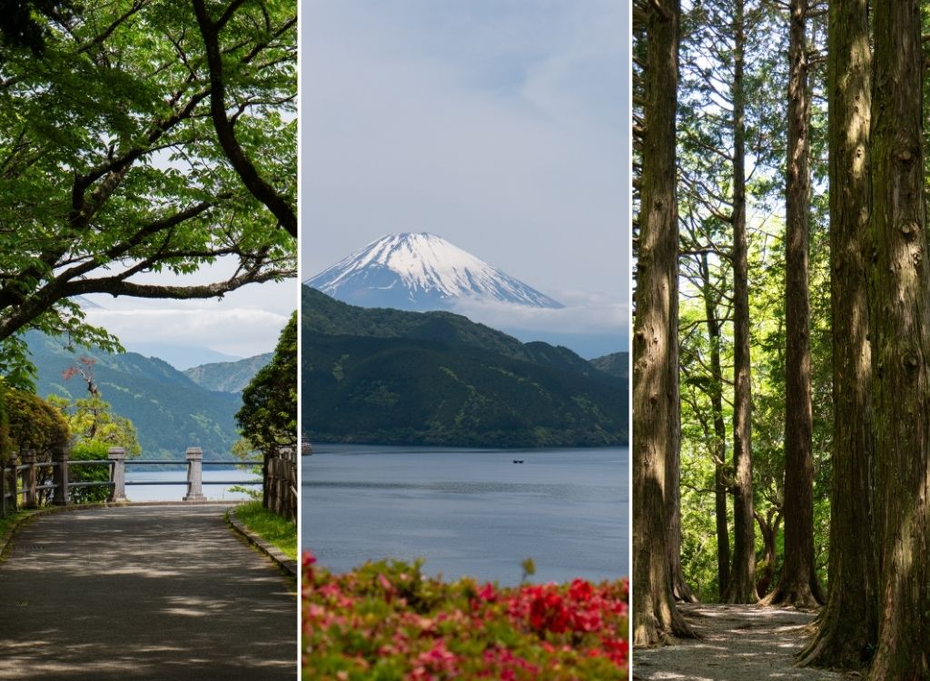 Onshi Park in Hakone