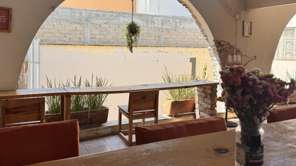 Honest review co404 Oaxaca coliving, Mexico