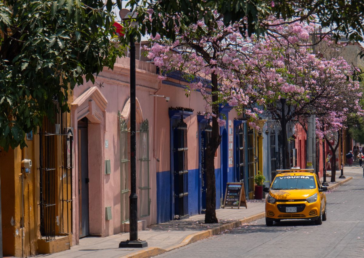 Oaxaca a city for slow digital nomads
