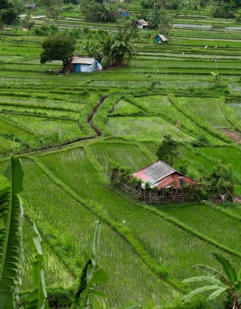 Work and explore Bali from Outpost Ubud