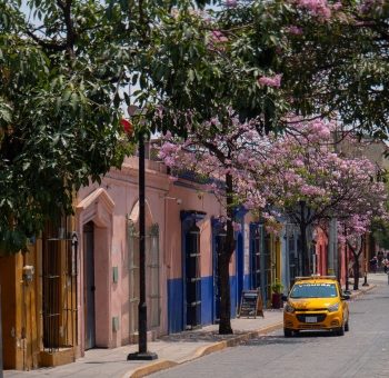 Co404 coliving located in the city center of Oaxaca, Mexico
